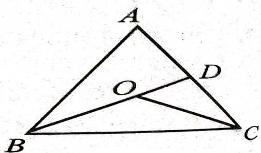 Inequalities of triangle class 9