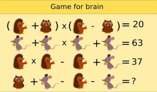 Mathematical Riddles