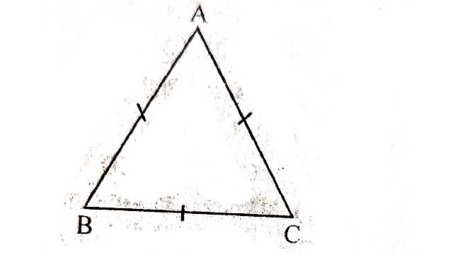 Some Properties of Triangle Class 9