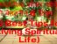 6 Best Tips for Living Spiritual Life