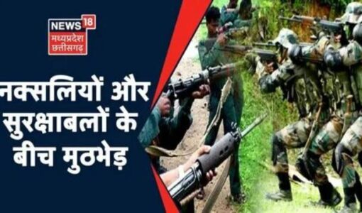 What is Indian Naxalite?