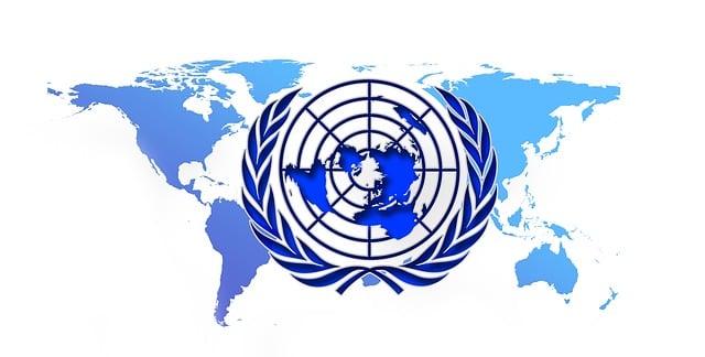 UN Organisation Security Council