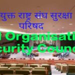 UN Organisation Security Council