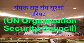 UN Organisation Security Council