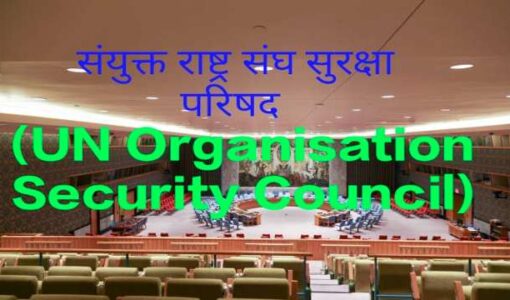 UN Organisation Security Council