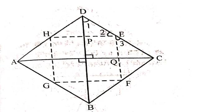 Parallelogram Class 9th