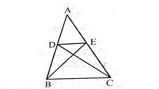 Examples of Area of Parallelogram 9th