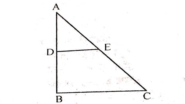 Examples of Area of Parallelogram 9th