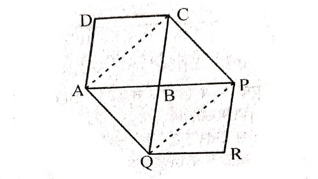 Examples of Area of Parallelogram 9th