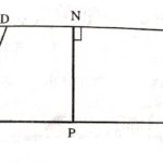 Area of Triangle and Parallelogram 9th