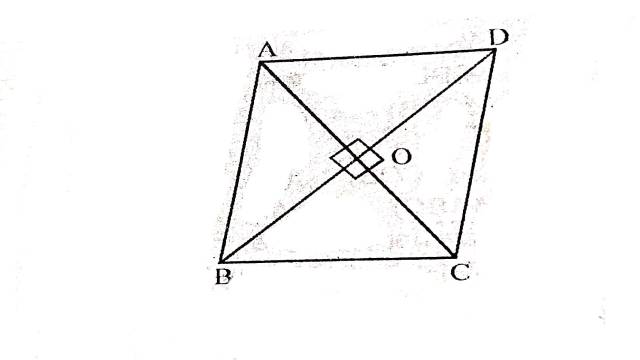 Area of Triangle and Parallelogram 9th