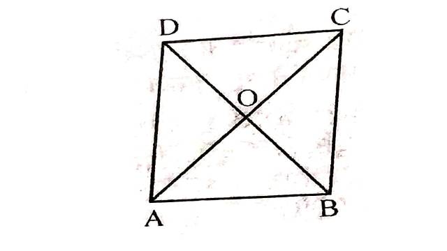 Area of Triangle and Parallelogram 9th