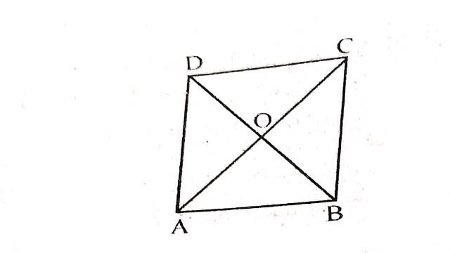 Area of Triangle and Parallelogram 9th