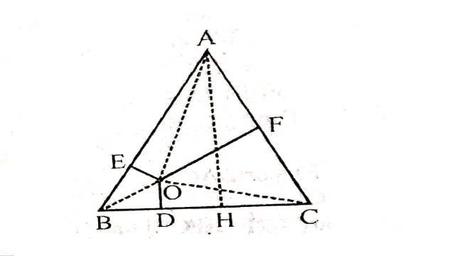 Area of Triangle and Parallelogram 9th